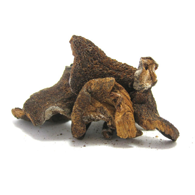 Dried Boletes Mushrooms
