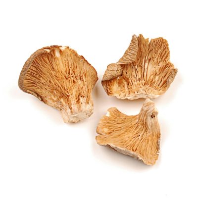Dried Oyster Mushrooms